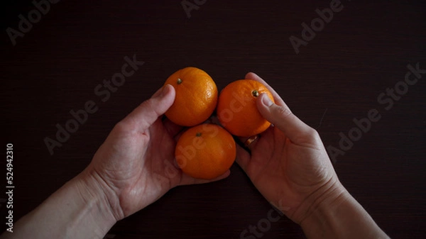 Fototapeta Oranges in hand. The man is holding and passing an orange. Photograph of citrus fruits. vitamins healthy food