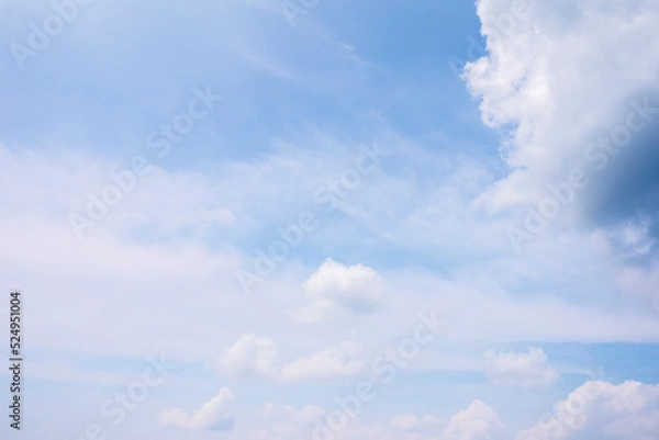 Fototapeta 夏の空