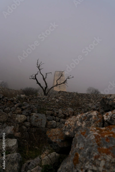 Obraz Watchtower "Abai-Kala"