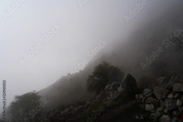 Obraz Watchtower "Abai-Kala"