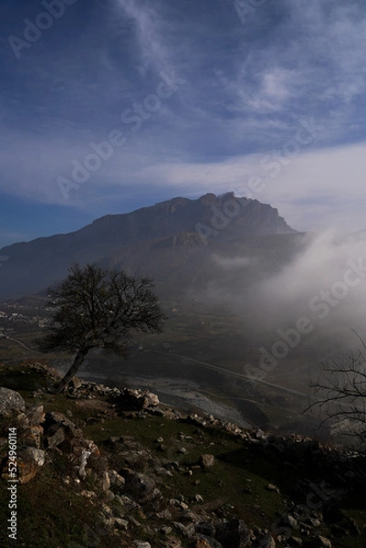 Obraz Watchtower "Abai-Kala"