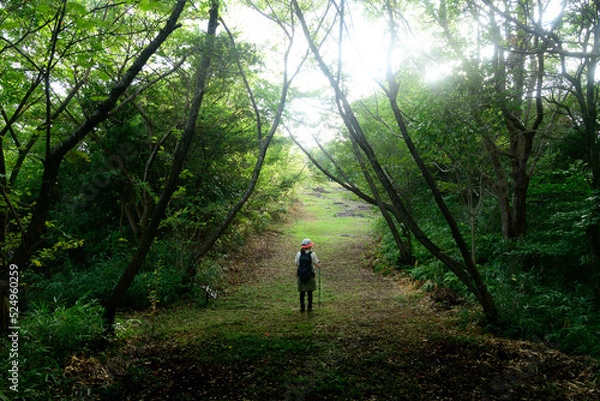 Fototapeta 登山者