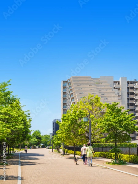 Obraz 郊外の住宅街