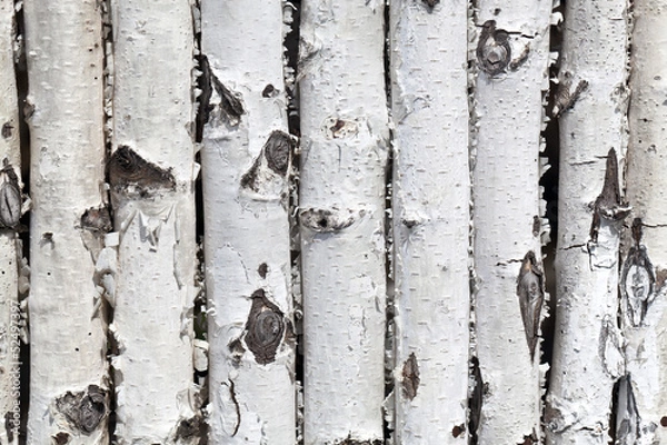 Obraz wall from birch logs