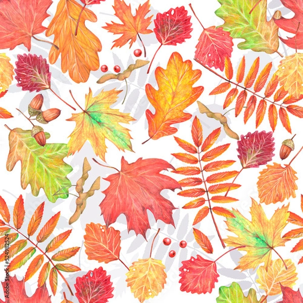 Fototapeta Seamless pattern of autumn leaves of rowan, aspen, maple and oak. Used yellow, green, red, burgundy colors. Drawing in gouache and watercolor.