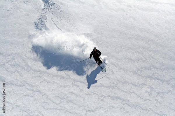 Obraz narciarstwo w puchu