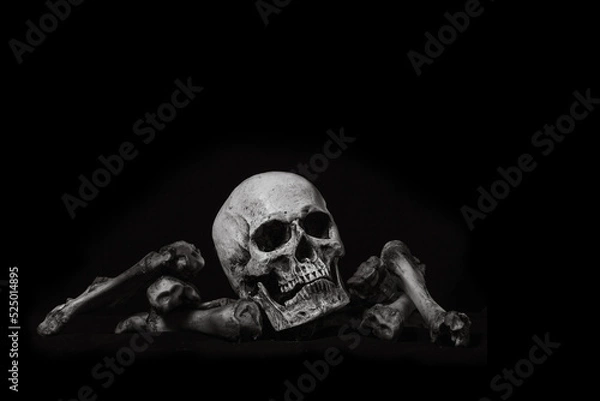 Fototapeta Awesome skull human and bone on black cloth background, concept of scary crime scene of horror or thriller movies,Halloween theme, Still Life style, selective focus,