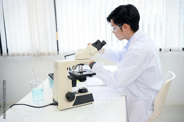 Obraz A handsome Asian male scientist examining a virus specimen under a microscope in the lab.