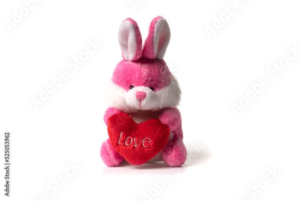 Obraz Bunny rabbit toy isolated on white background