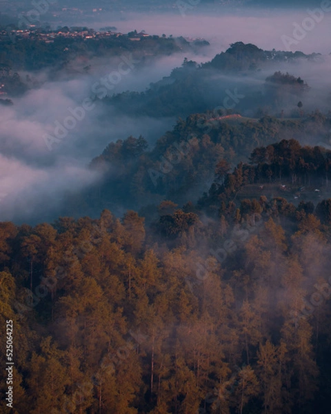 Fototapeta fog in the mountains