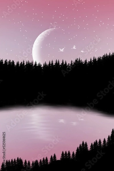 Obraz night in forest skyline