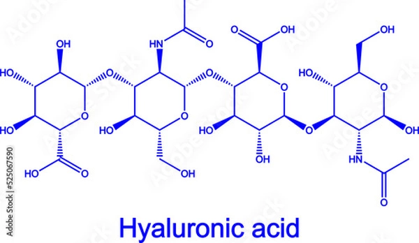 Fototapeta Hyaluronic acid molecule skincare serum HA concept structure blue Hyaluron chemical formula