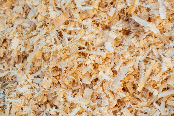 Obraz Wooden sawdust close up. Dry wood shavings background. Wood dust texture. Sawdust pattern closeup. Heap of sawdust is lying outdoor.