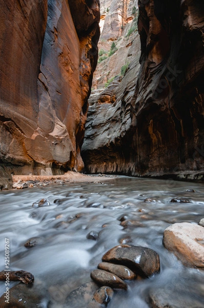 Obraz Zion Narrows