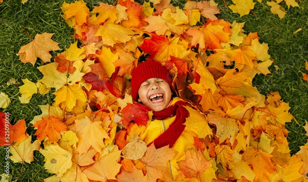 Fototapeta A girl with a wide smile lies on a carpet of red and yellow leaves in an autumn park.