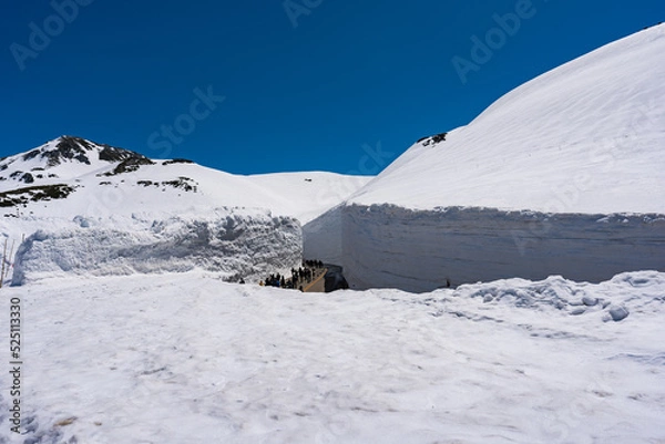 Fototapeta 立山黒部　雪の大谷