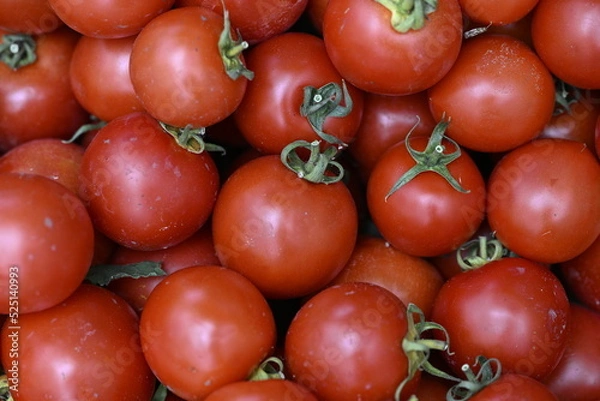 Obraz Cherry Tomatoes close up
