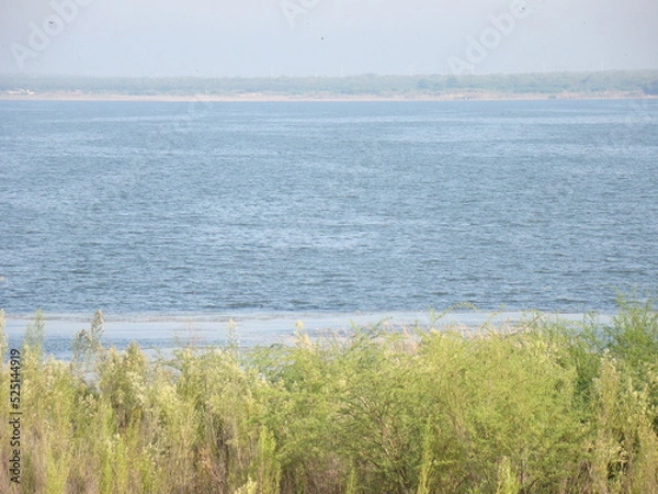 Fototapeta wetland at lake