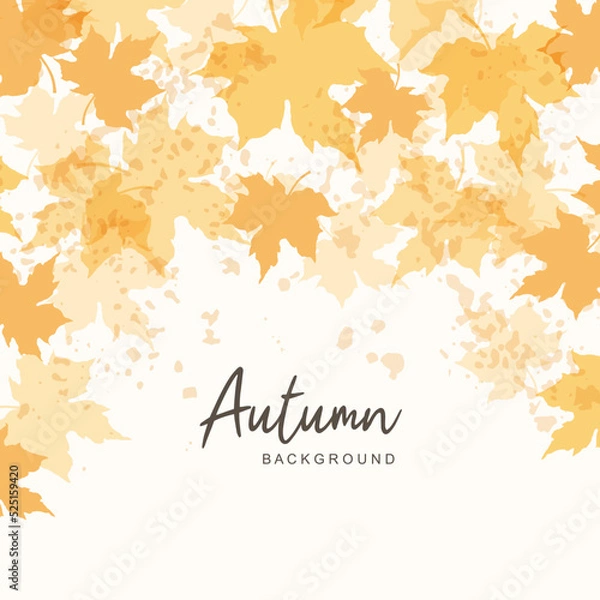 Fototapeta Abstract background with autumn falling leaves. Thanksgiving and Harvest Day. Leaf fall frame. Watercolor yellow maple leaves. Vector illustration