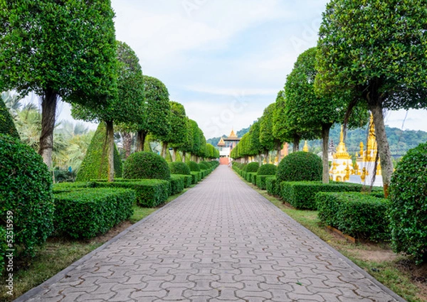 Obraz Road in the garden