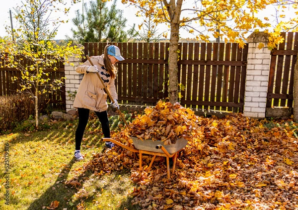 Fototapeta Young Woman having fun throwing while cleaning fallen maple autumn leaves in the garden.