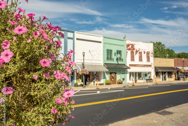 Obraz View of Inman, South Carolina. Focus on a beautiful, flowering bush with downtown Inman in the background. Colorful shops in a quaint, rural, small, southern town.