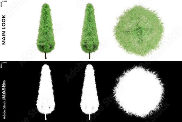 Fototapeta 3D Rendering of Garden Plants (Residential or Commercial Space) with alpha mask to cutout and PNG editing. Vegetation for Nature Compositing