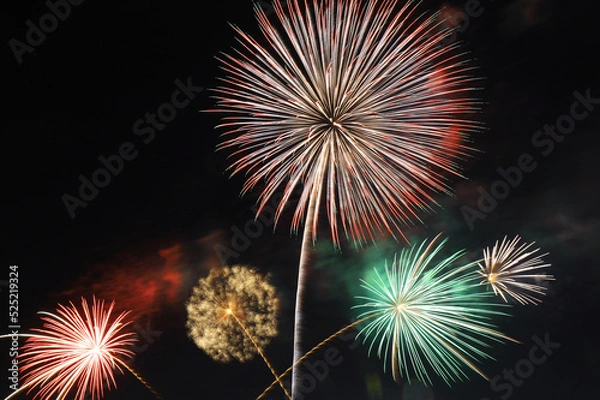 Fototapeta なにわ淀川花火大会