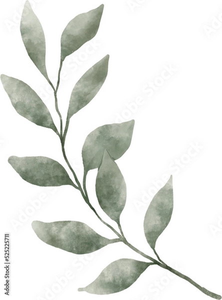 Fototapeta Leaf Watercolor Illustration