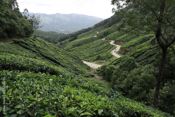 Obraz mountain valley in the mountains