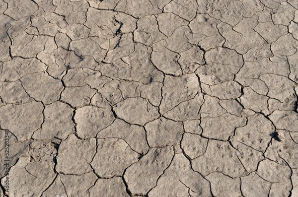 Obraz Dried and cracked mud