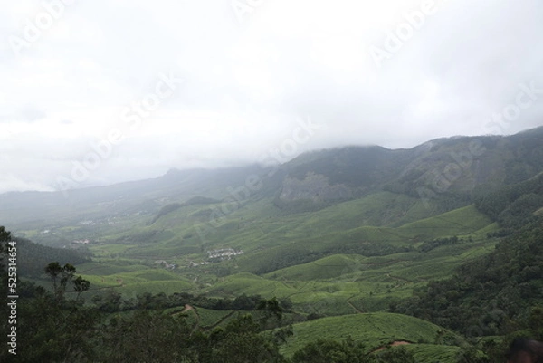 Obraz landscape with fog