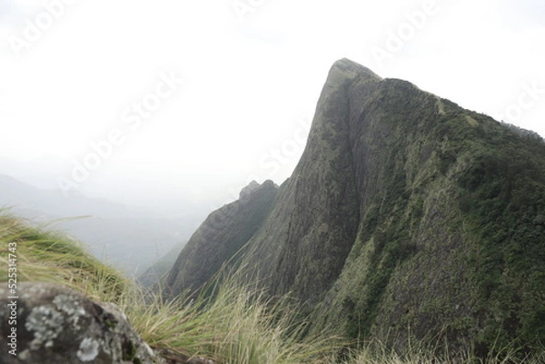 Fototapeta landscape in the morning, A beautiful view of the highest tea garden in the world.