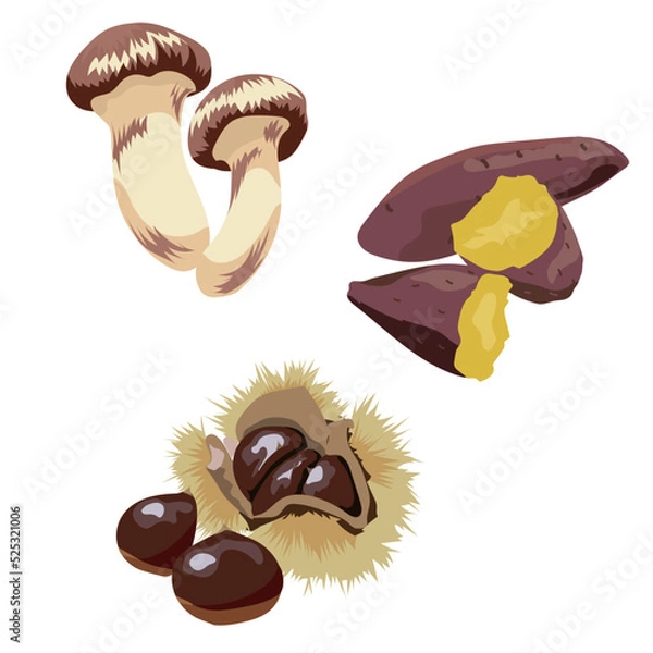 Obraz 秋の味覚3種イラスト・素材セット　松茸・焼き芋・栗