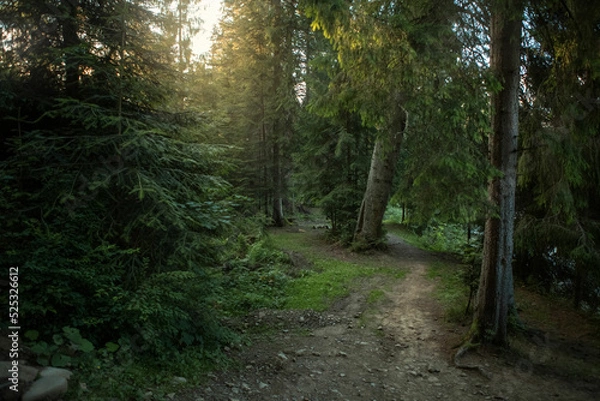 Fototapeta beautiful landscape with a small waterfall in a forest with stone terrain
