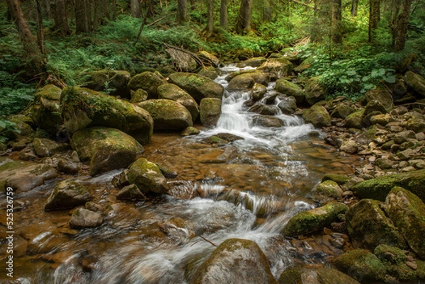 Fototapeta beautiful landscape with a small waterfall in a forest with stone terrain