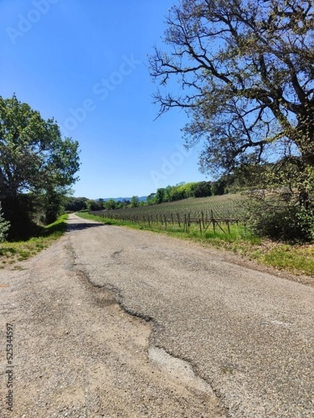 Obraz Travel picture