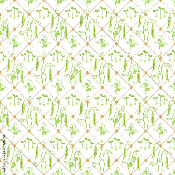 Fototapeta Pea vector seamless pattern. Kitchen print cage