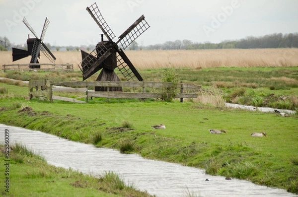 Obraz Mulini a vento a Zaanse Schans 