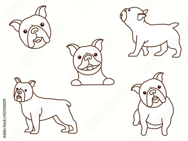 Fototapeta Cute dog character of french bulldog breed. Dogs are standing in different poses. Flat design line vector icon set