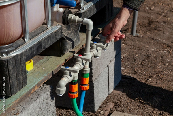 Obraz Hand opens tap on plastic irrigation system