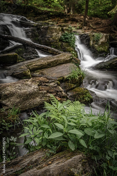 Fototapeta Wasserfall