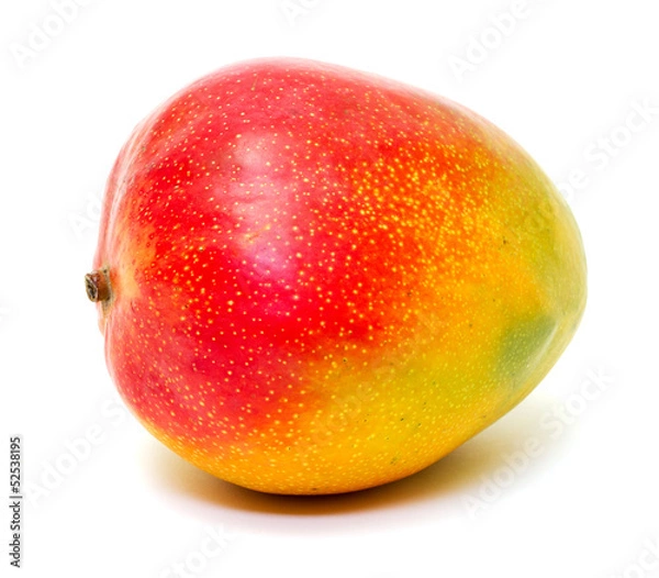 Obraz Ripe mango
