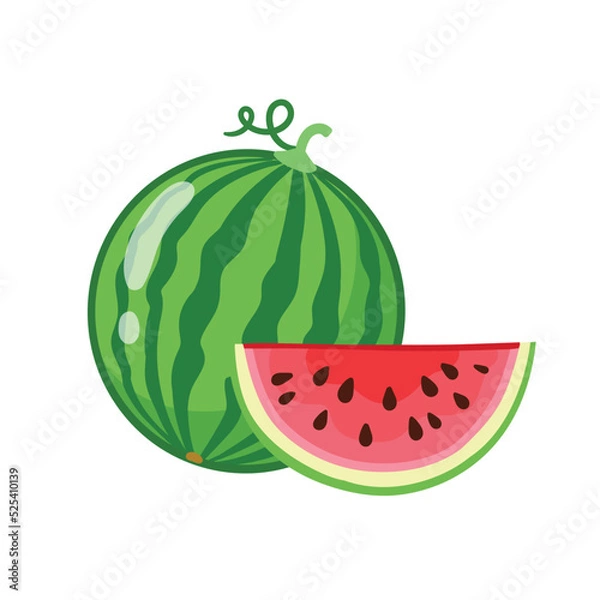 Obraz Vector illustration with watermelon on a white background. Watermelon in cartoon style