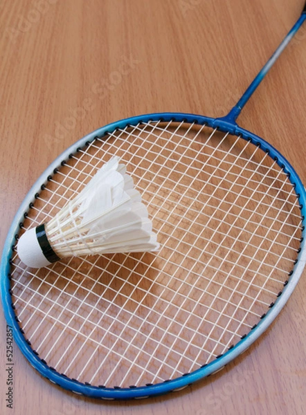 Obraz badminton racket and shuttlecock