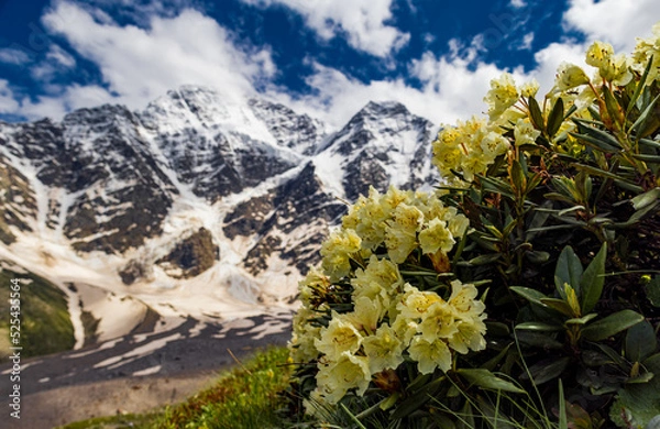 Fototapeta Beautiful mountain landscape. Alpine climbing. Sunset in the mountains. The Caucasus is a region spanning Europe and Asia. Elbrus region. Mountains landscape. 