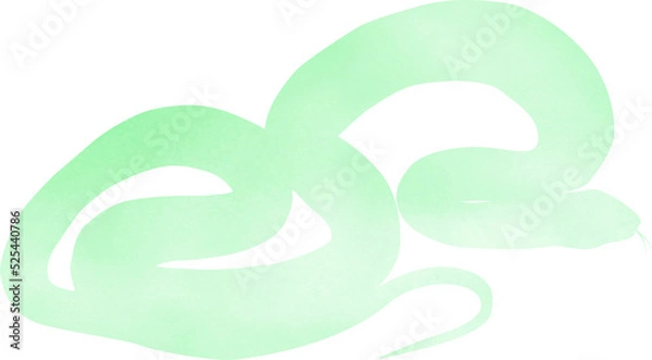 Fototapeta Pattern Snakes