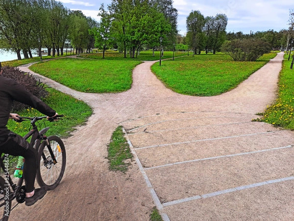 Obraz Path selection. The road in the park is divided into three different directions among grass, trees and flowers.
