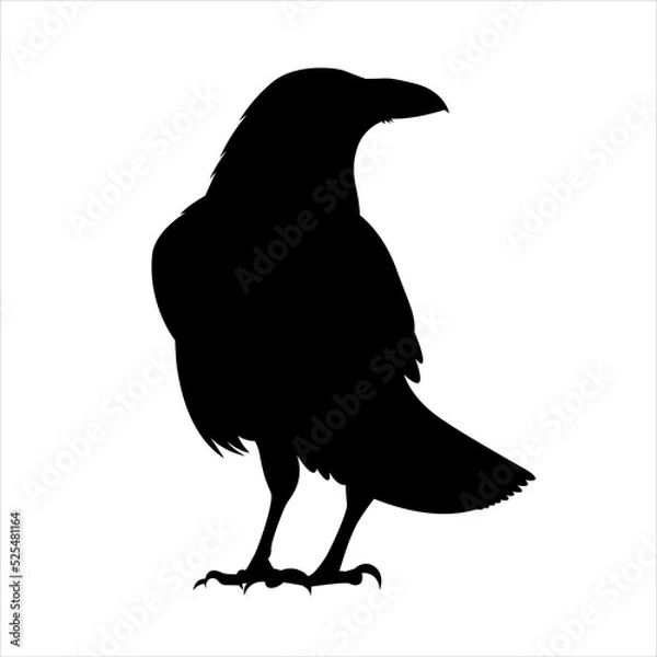 Obraz raven silhouette Flat Icon vector illustration Clipart