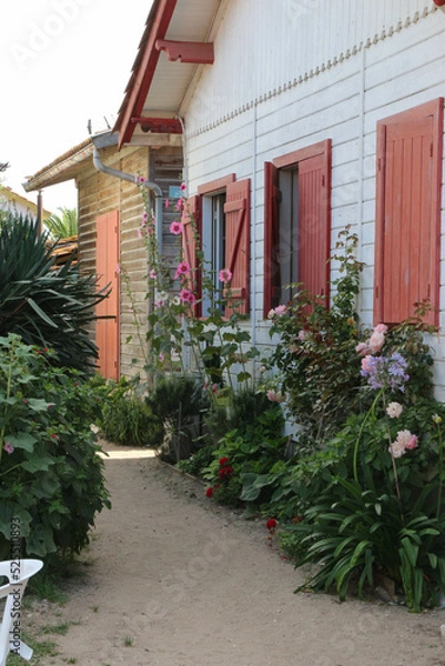 Fototapeta Cabane cap ferret